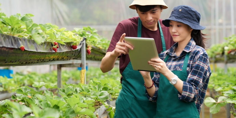 Kredit Pertanian: Pengertian, Manfaat & Tips Mengajukan